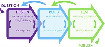 A Life Cycle for Modeling Biology at Different Scales